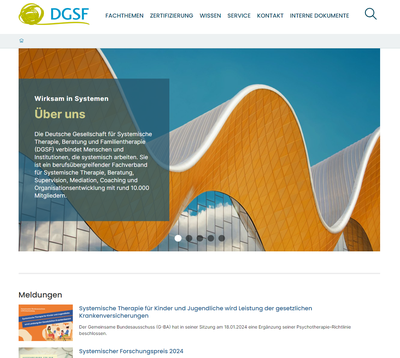 Blick auf die neu gestaltete Internetpräsenz der DGSF kurz nach dem Relaunch im Januar 2024